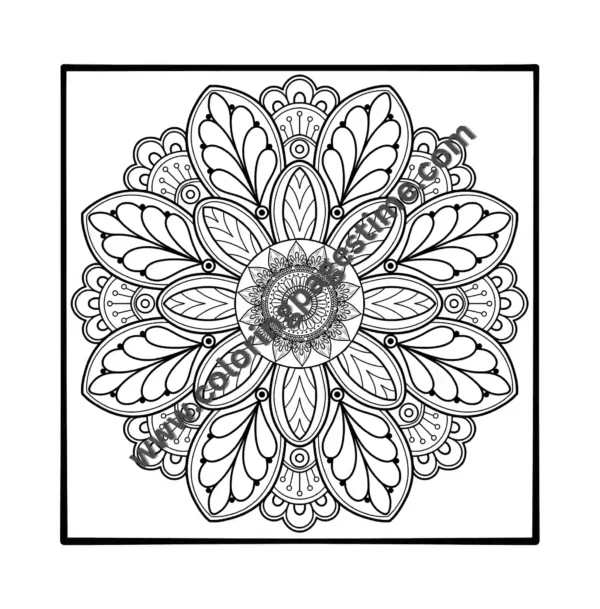 Mandala Coloring Book for Adults